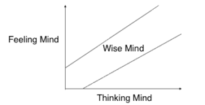 Graph of Wise-Mind balance