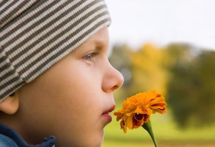 child absorbed in smelling a flower